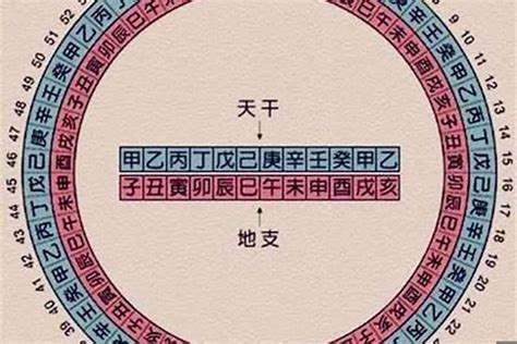 2024年什么命|2024年什么命五行属性